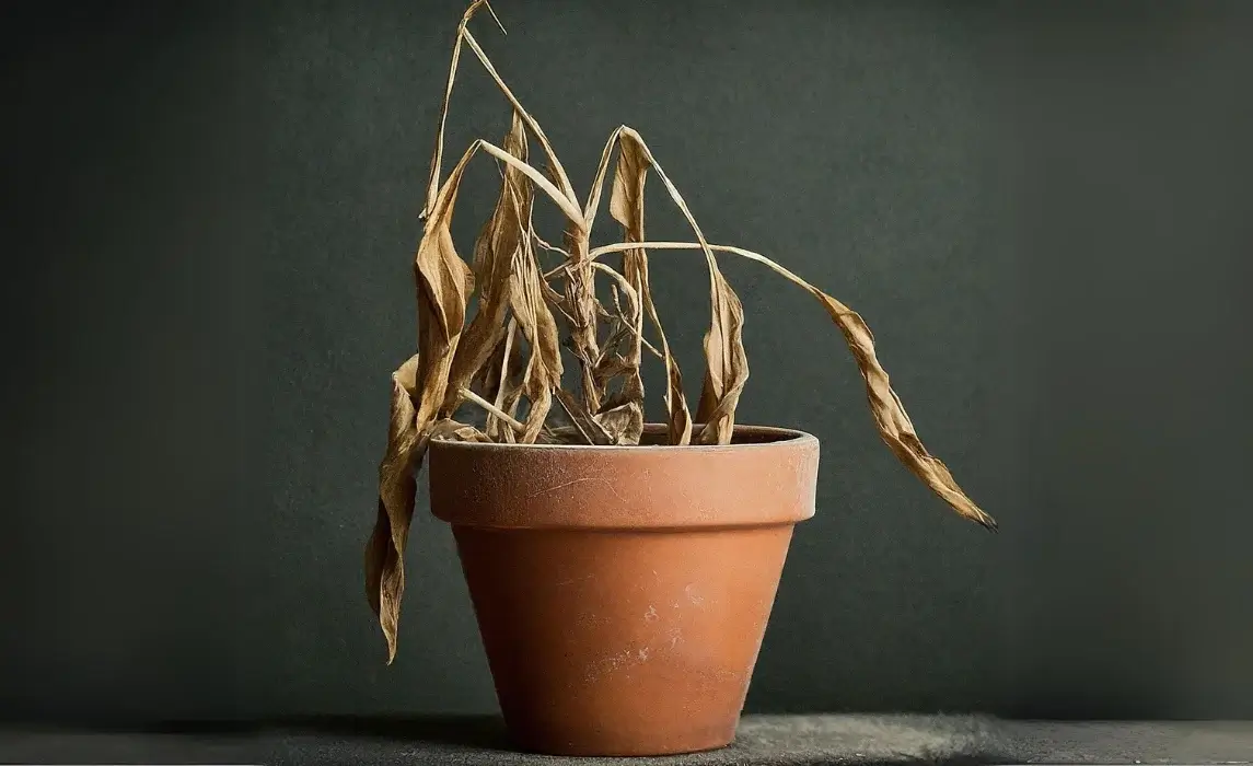 Tipy, triky a navody