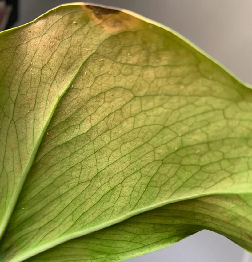 Tipy, triky a navody