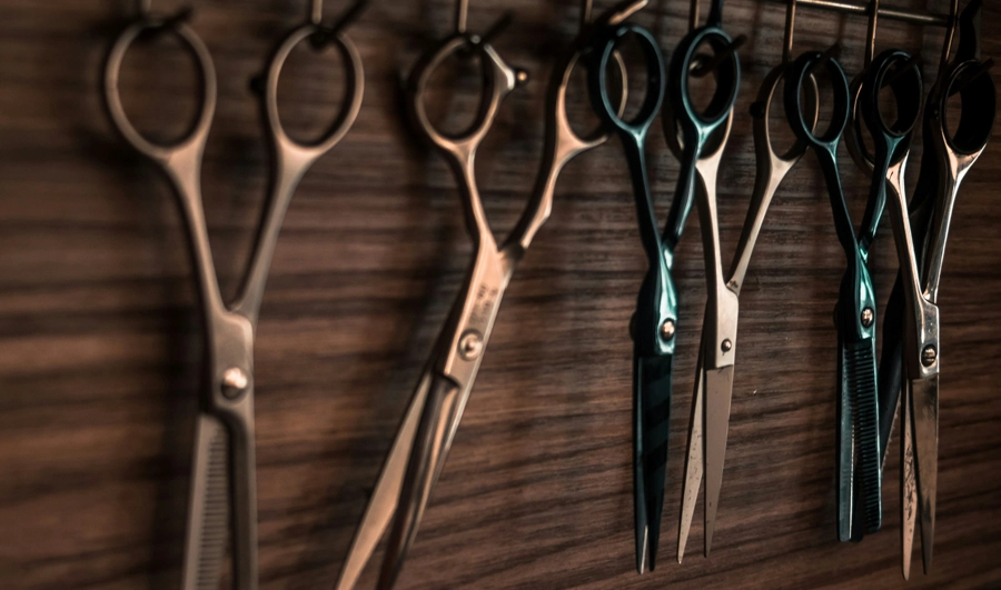 odrezky zakorenovanie