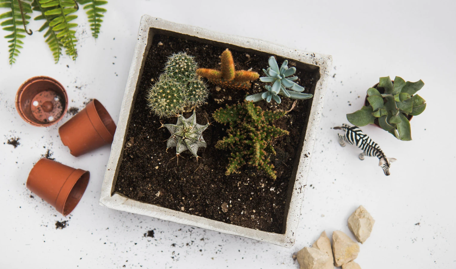 Vzdusny substrat pre sukulenty a Sansevierie "SUKULENTAK"