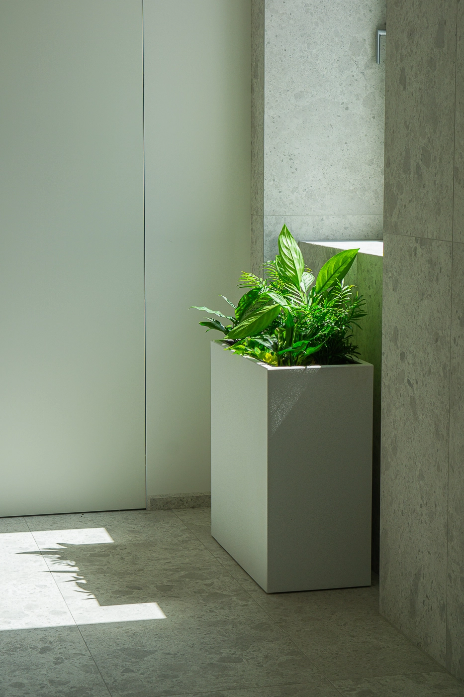 Plantscape - hydroponicke kvetinace (VET/ZH)