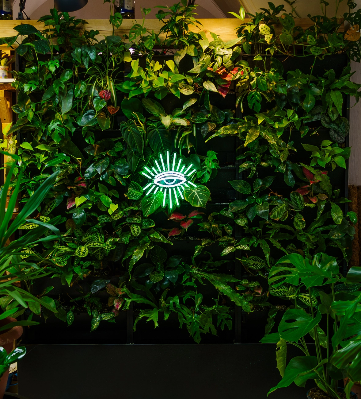 Ziva Zelena stena so samozavlazovacim systemom