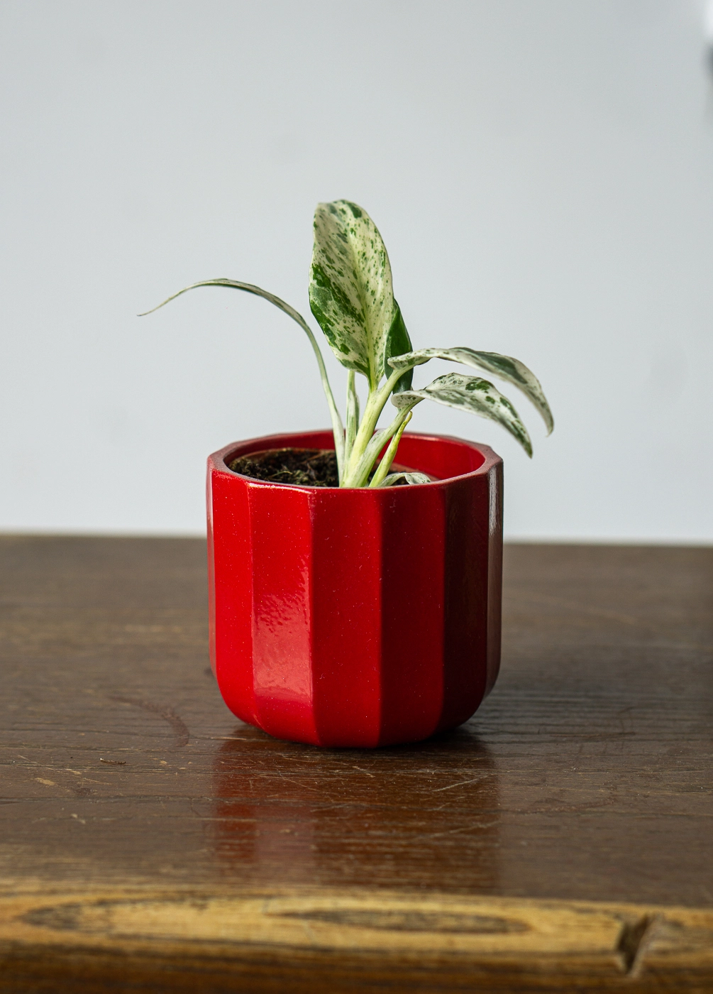 Keramicky kvetinac Korint