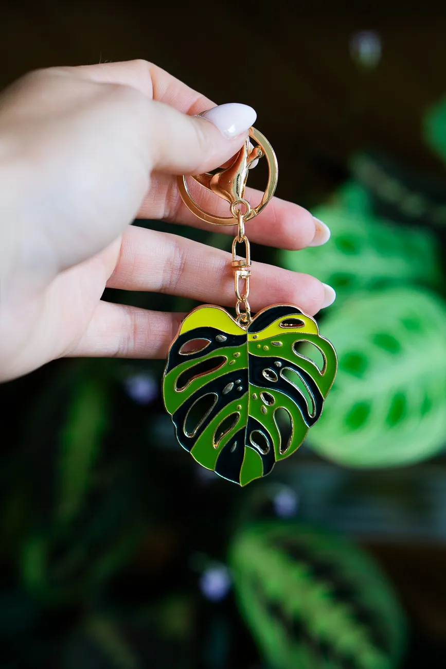 Klucenka Monstera Aurea