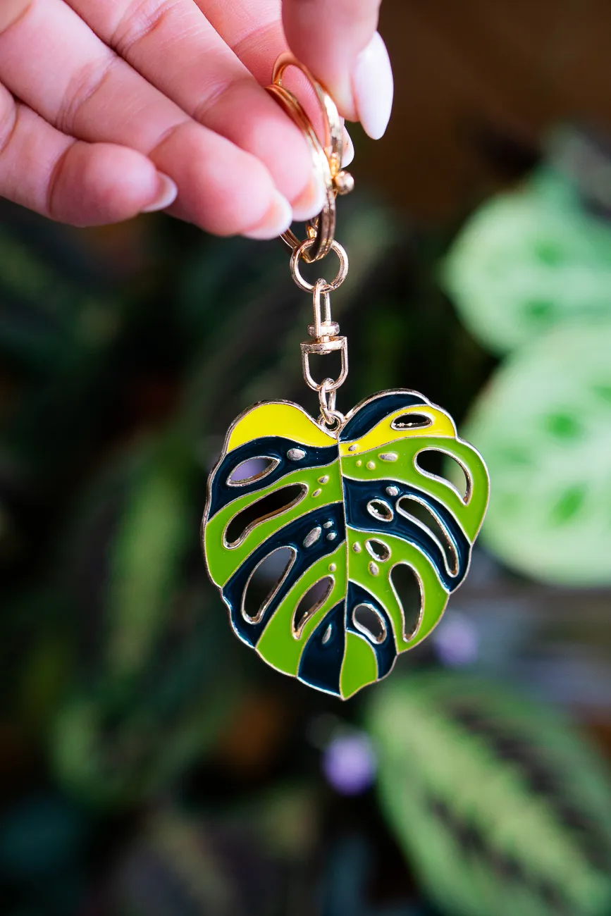 Klucenka Monstera Aurea