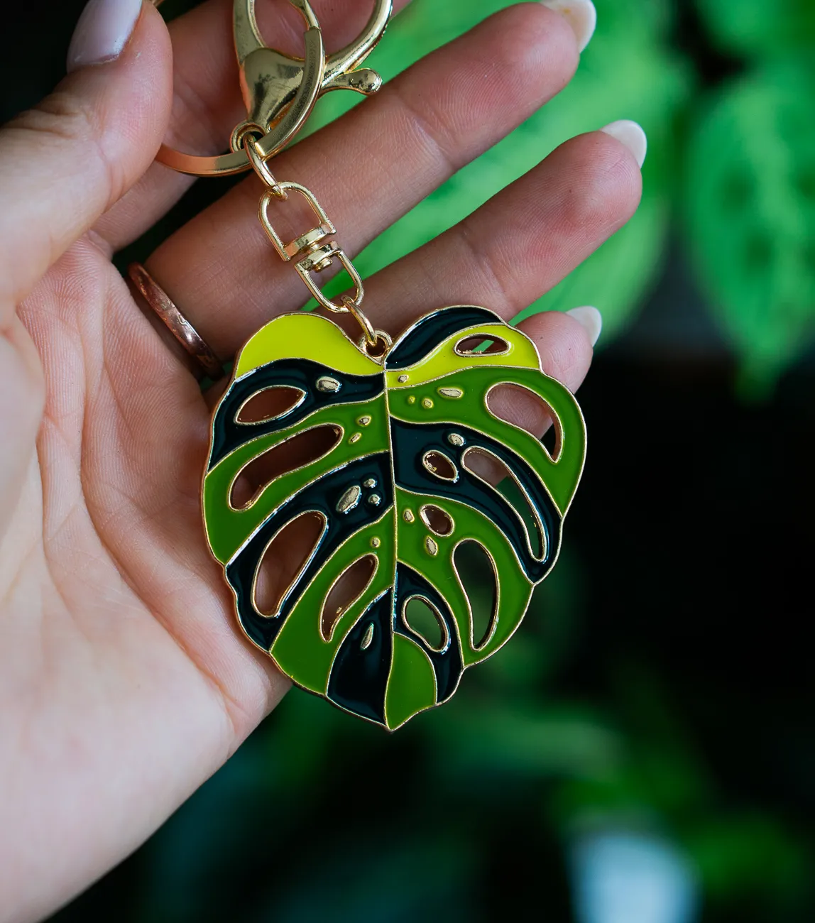 Klucenka Monstera Aurea