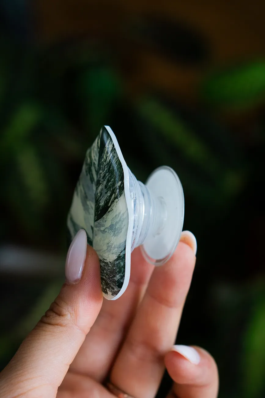 Rastlinny pop socket (Drziak na telefon) Monstera Albo