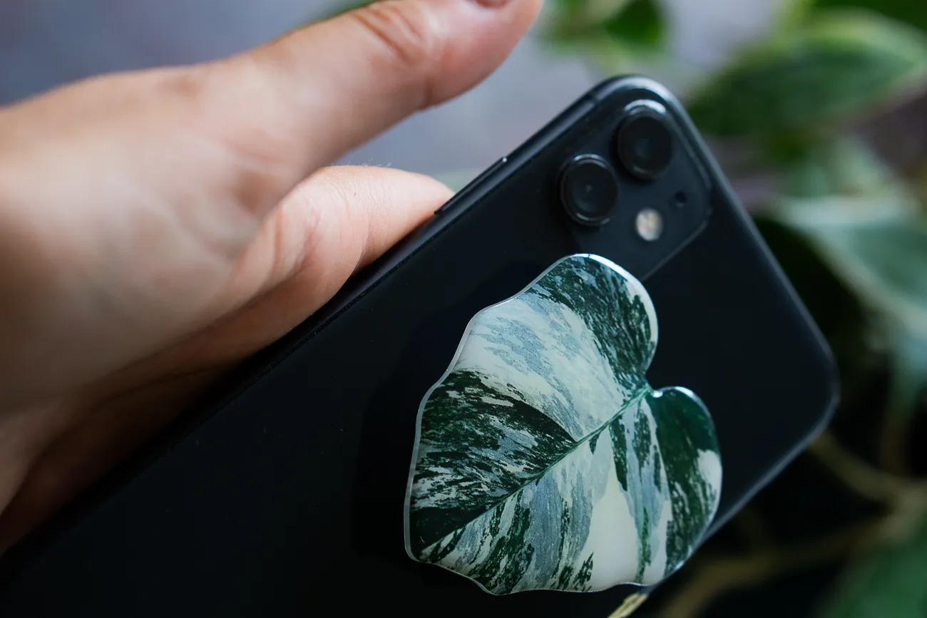 Rastlinny pop socket (Drziak na telefon) Monstera Albo