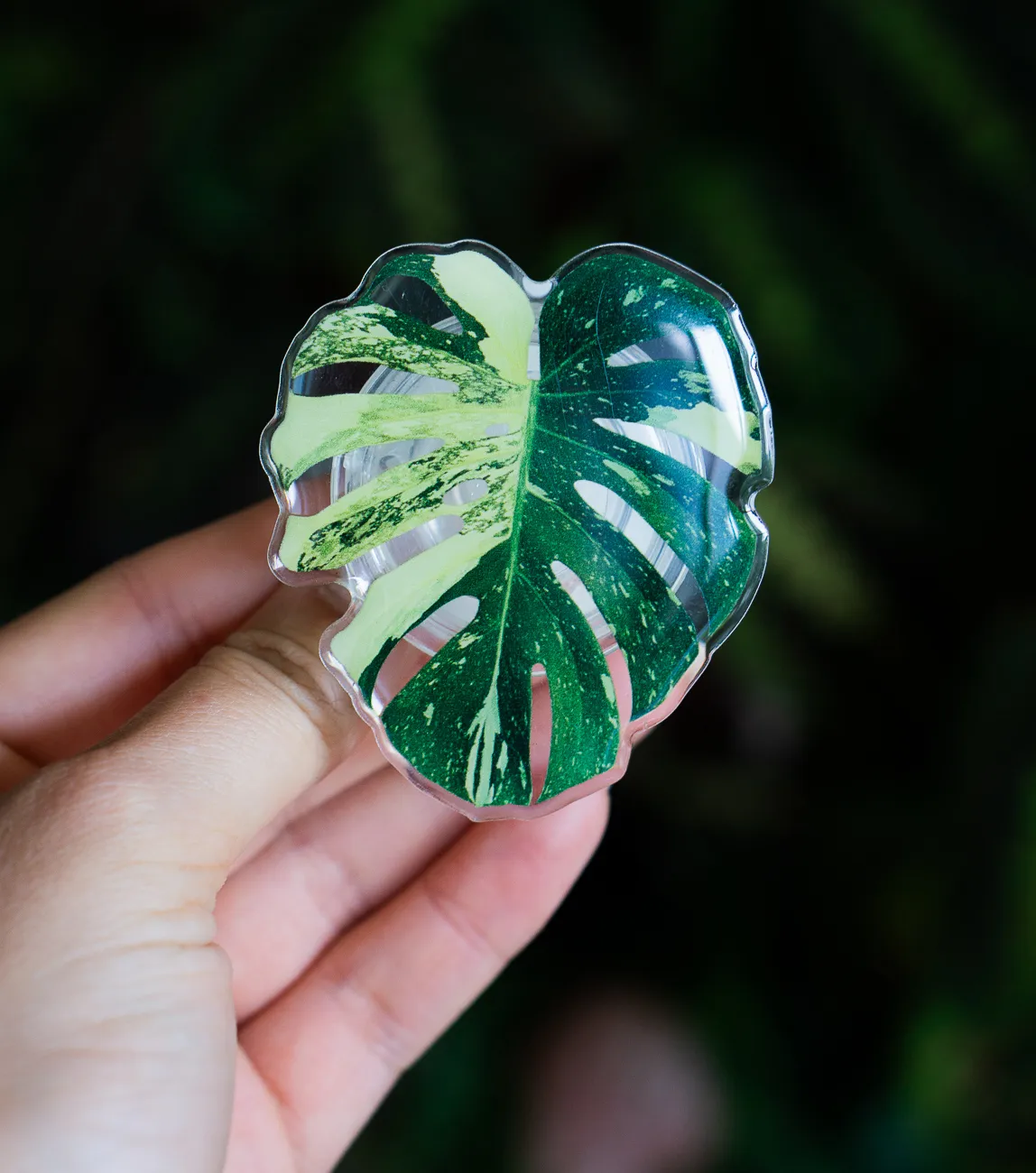 Rastlinny pop socket (Drziak na telefon) Monstera Thai