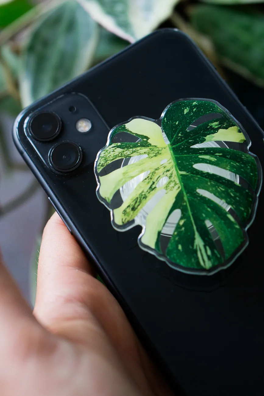 Rastlinny pop socket (Drziak na telefon) Monstera Thai