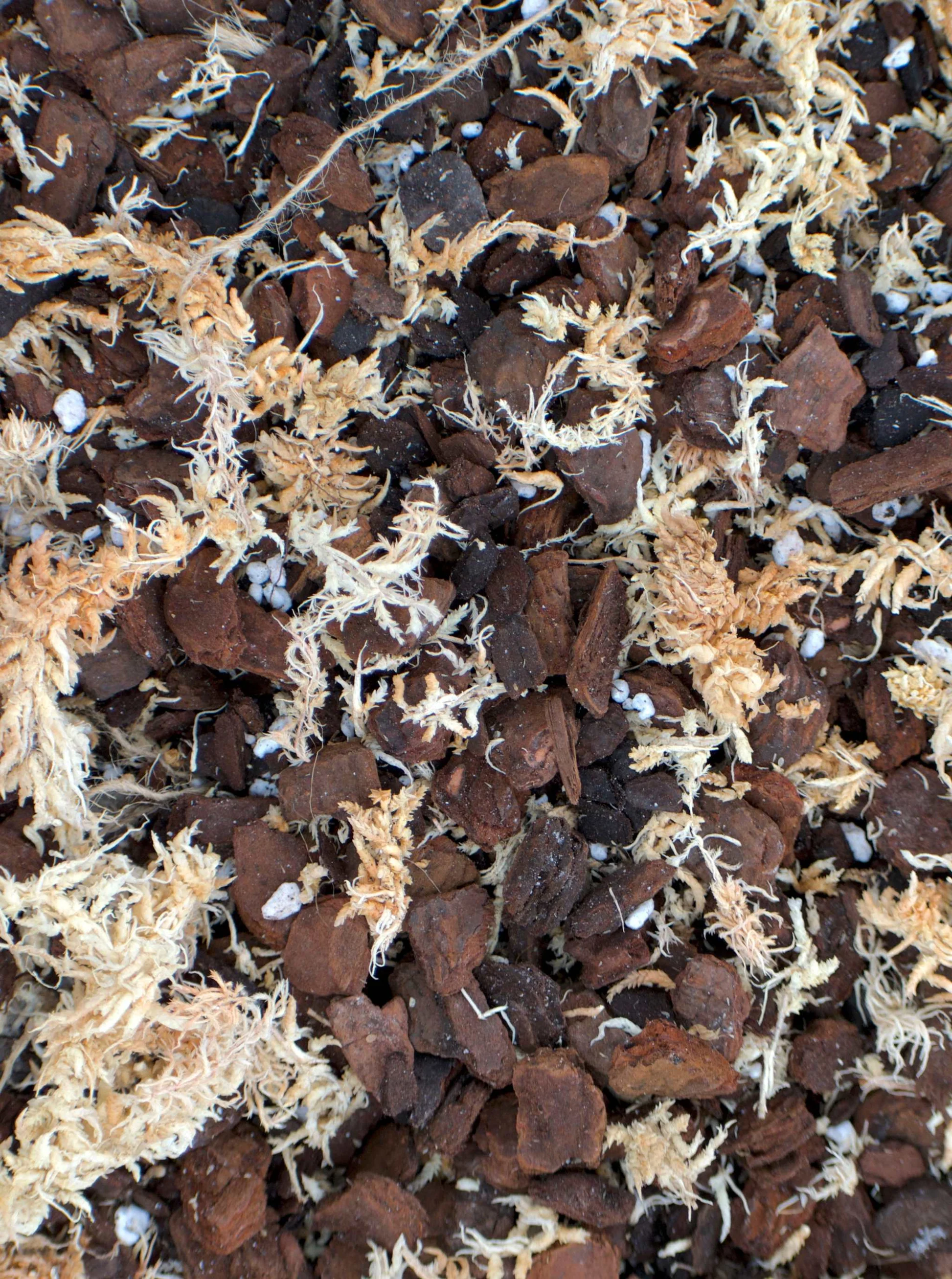 Splhak - Vzdusny substrat pre oporne tyce