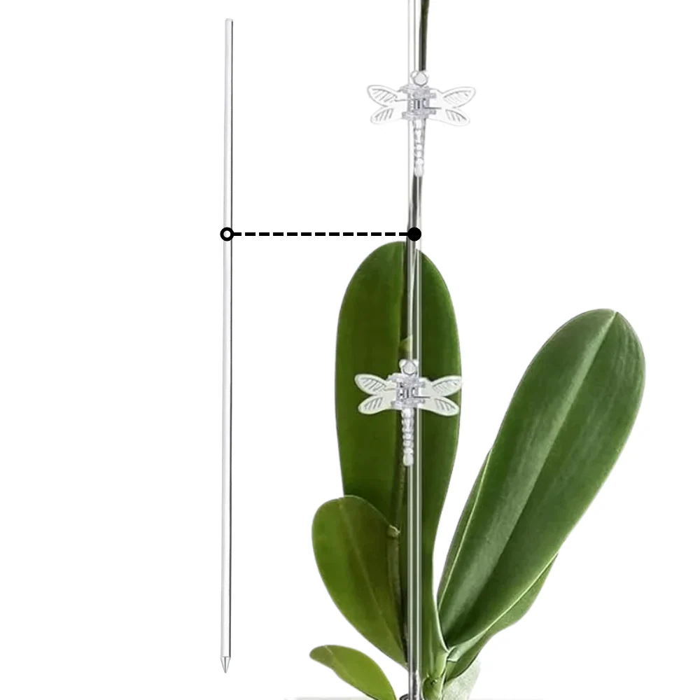 Priesvitna oporna tyc pre rastliny (6mm)