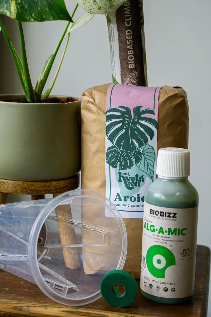 Set VARIEGATA - pre zdrave panasovane rastliny