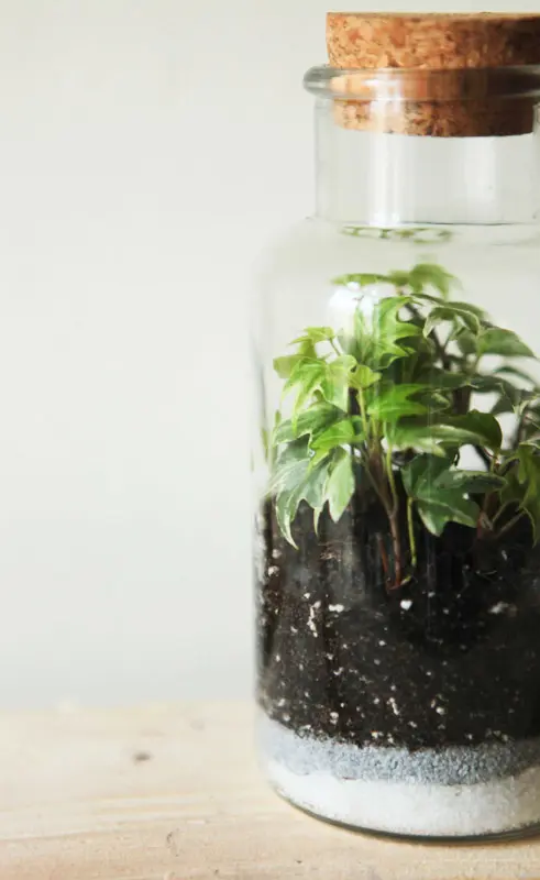 Vzdusny substrat "FLORALIUM"