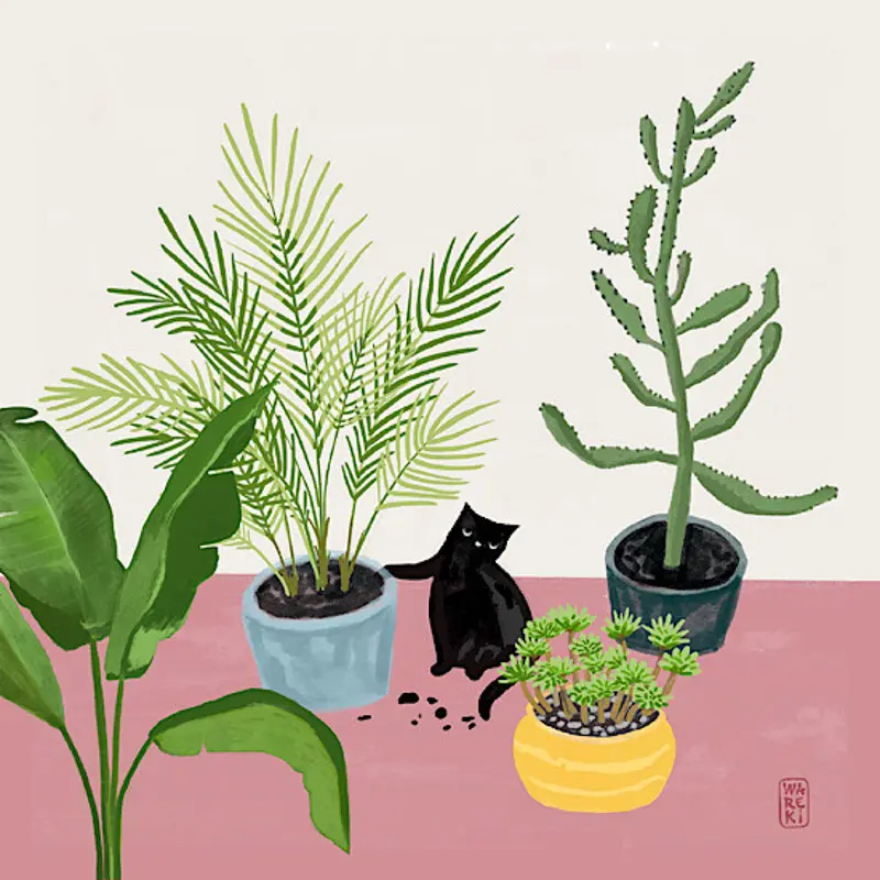 Ilustracia "Repot Cat"