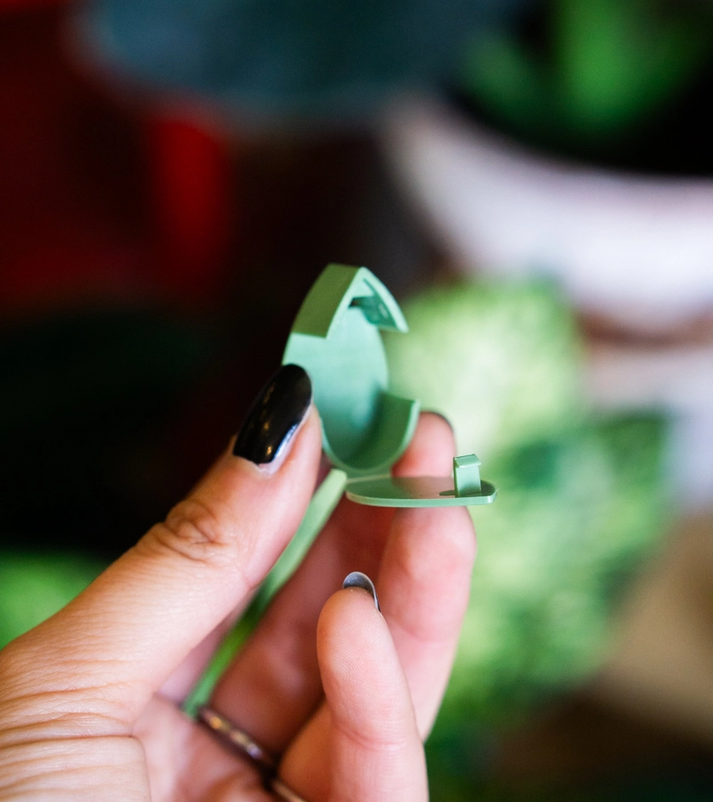 Hacik na tahave rastliny - listok