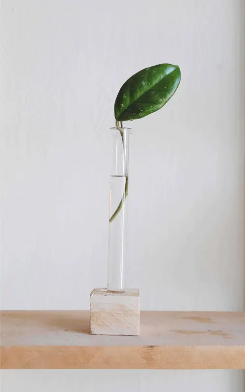 Sklena skumavka na odrezky