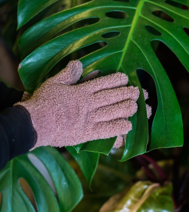 Rukavica na cistenie listov