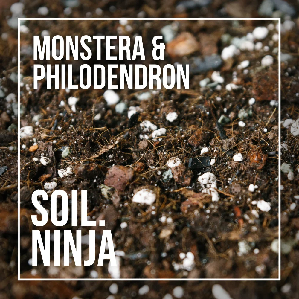 Substrat SOIL NINJA pre Monsteru a Philodendron (5L)