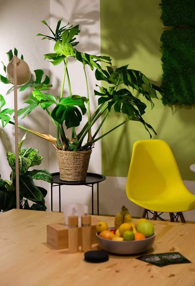 Plantscape - projekt ATENA