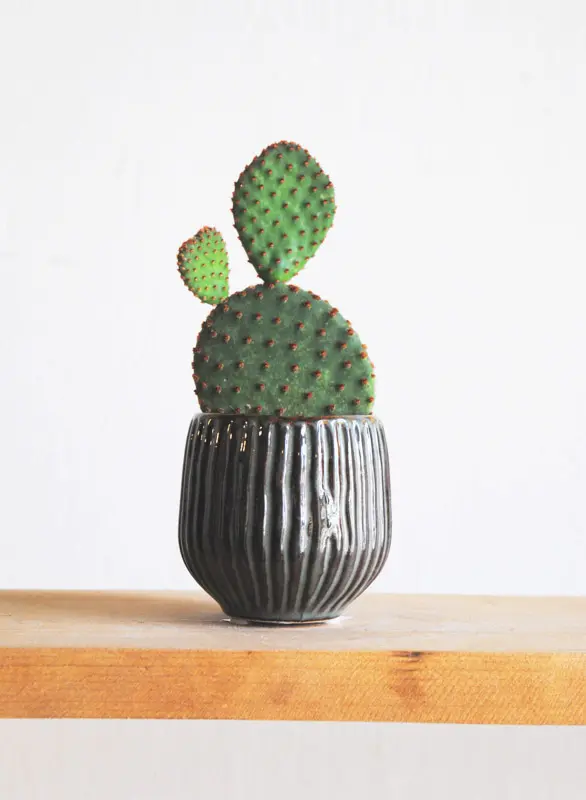 Keramicky kvetinac Stripes