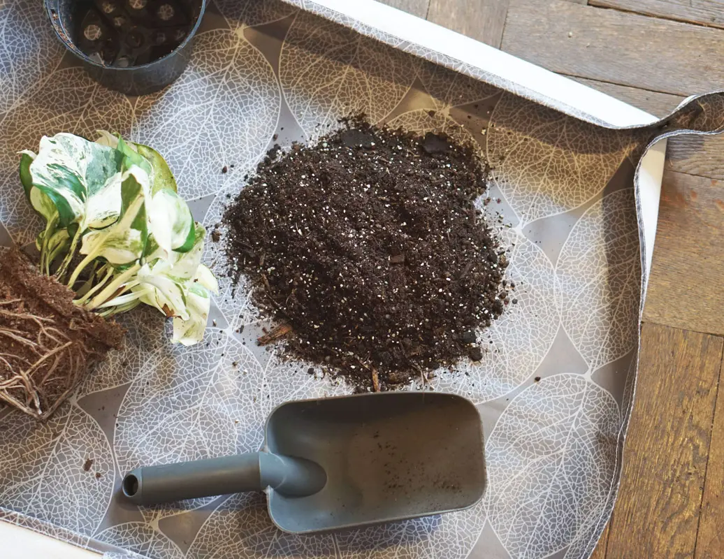 PresadMatka - cierna