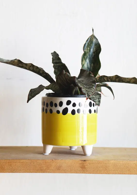 Keramicky kvetinacik na nozkach (Zlty)