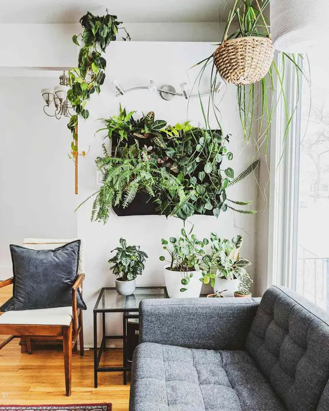 Plantscape - Zariadenie priestorov izbovymi rastlinami