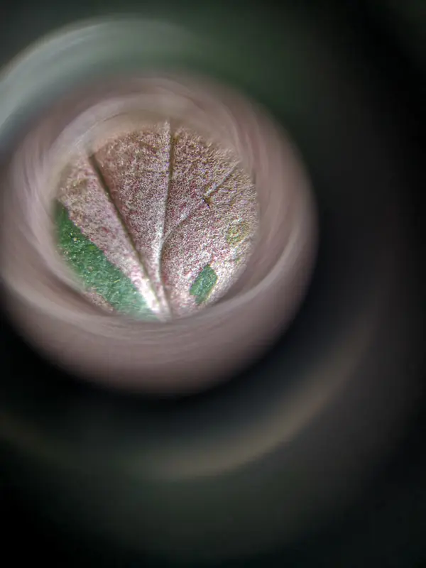 Vreckovy LED mikroskop Neptune 45x