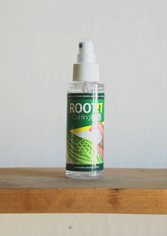 Root it! Stimulator zakorenovania 100ml