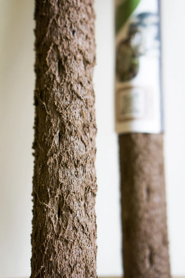 Kompostovatelna oporna tyc pre izbove rastliny