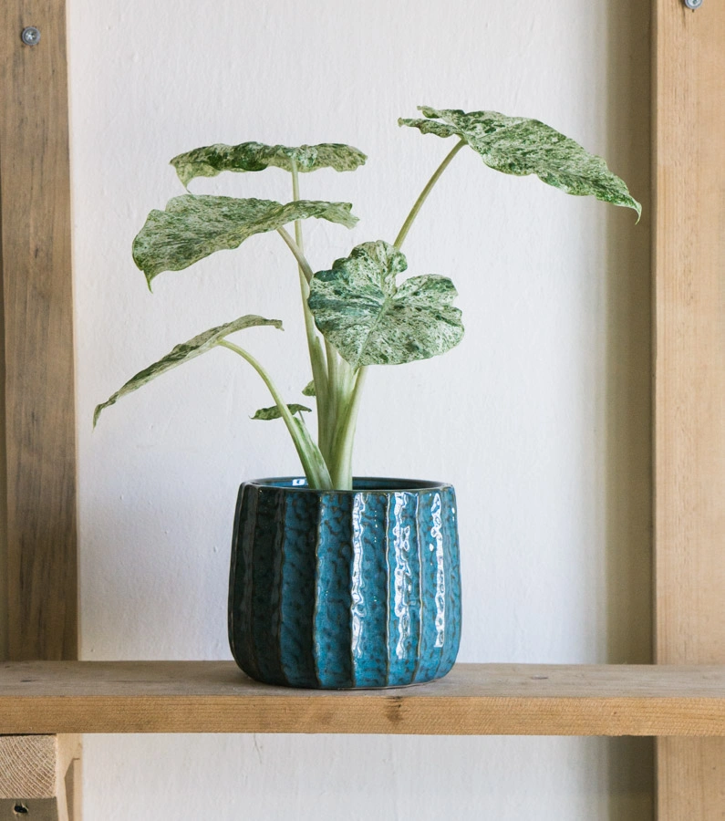 Keramicky kvetinac Poseidon