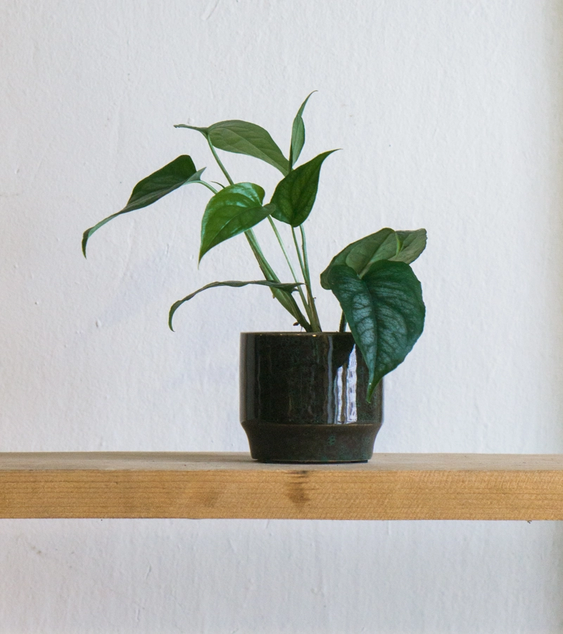 Keramicky kvetinac Taman