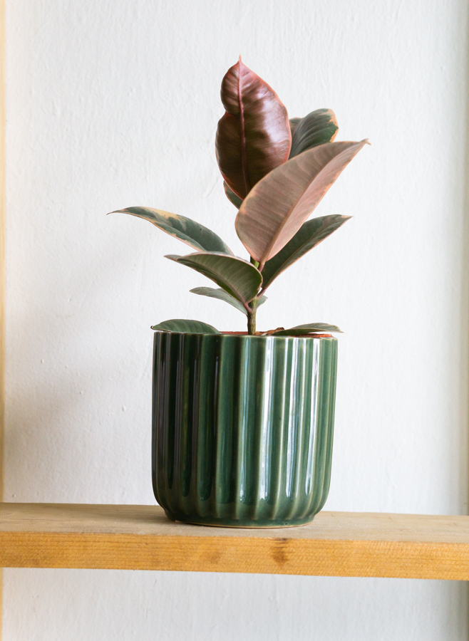 Keramicky kvetinac Akant (Zeleny)