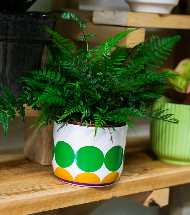 Keramicky kvetinac "Retro" (odrete kolena)