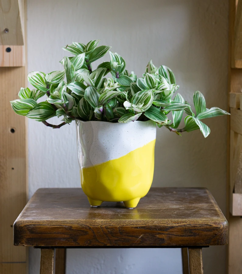 Keramicky kvetinac "Polomacany Sun"