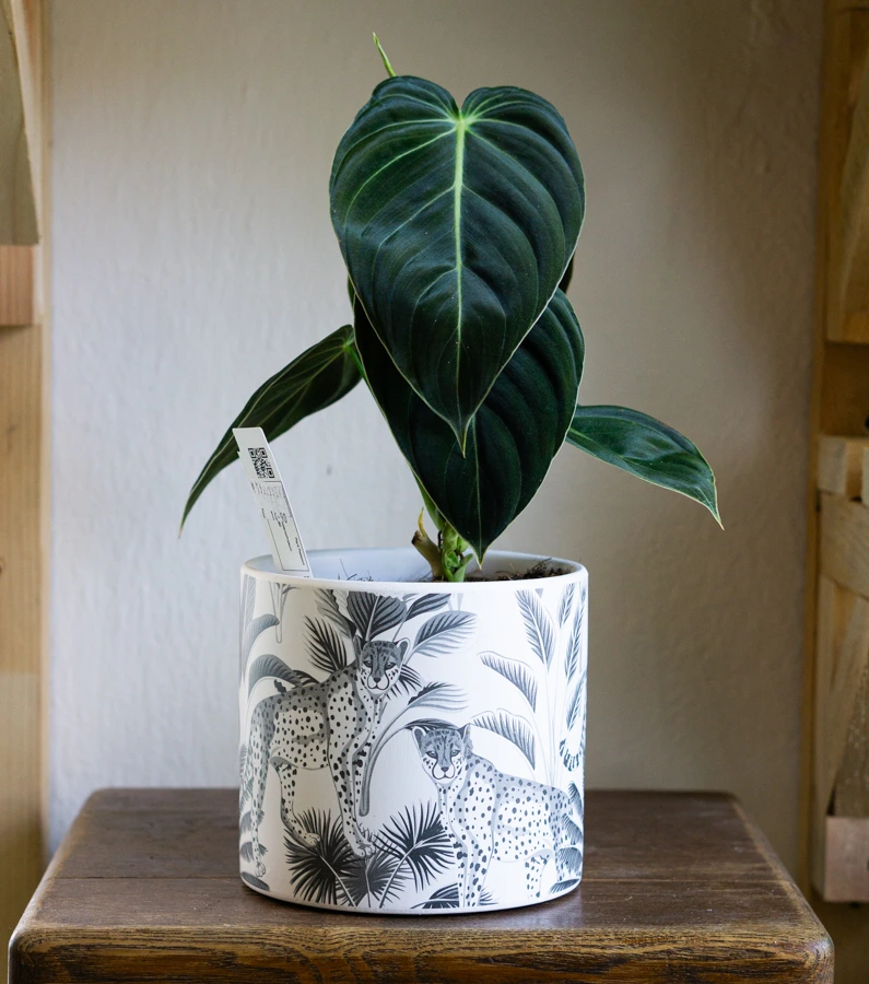 Keramicky kvetinac "Panter"