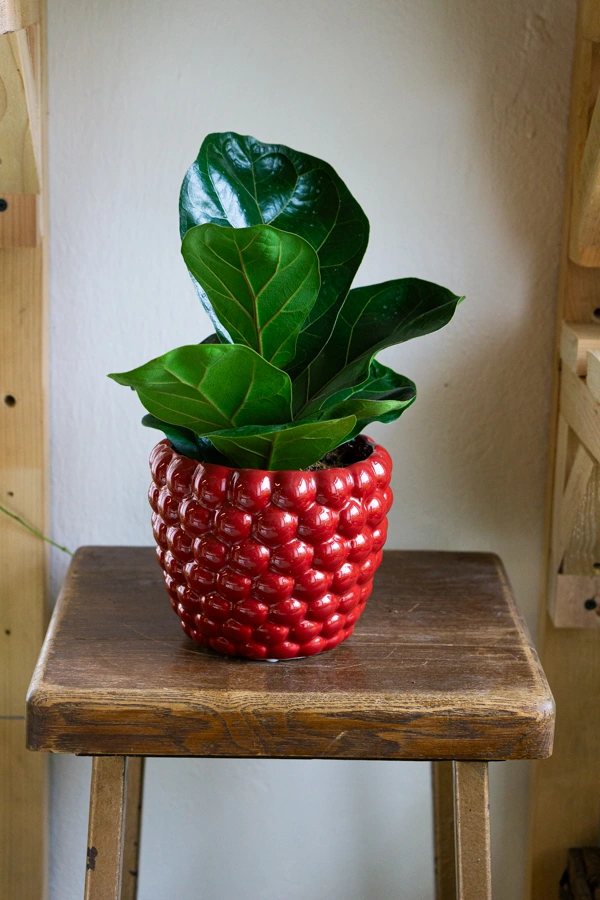 Keramicky kvetinac "Bobulka"