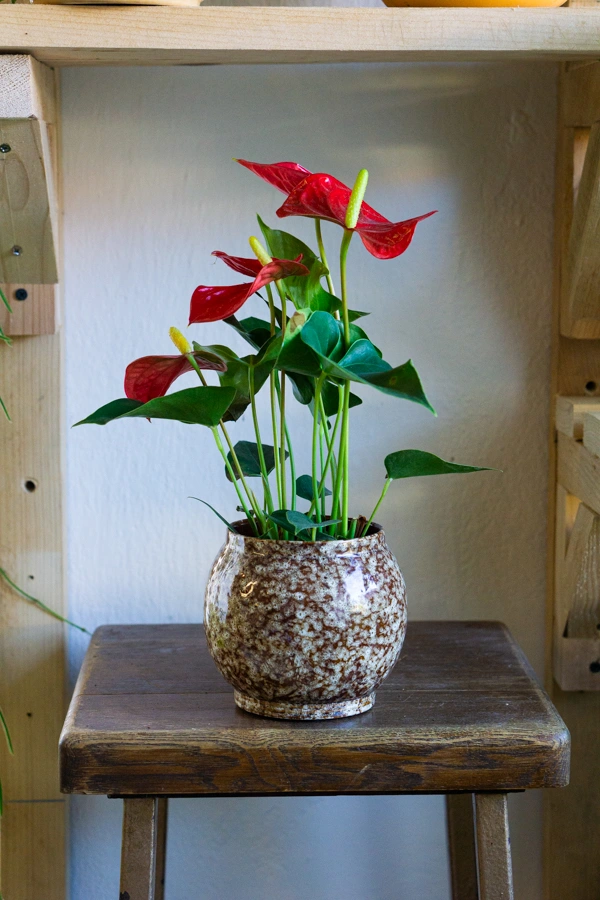 Keramicky kvetinac "Erben"