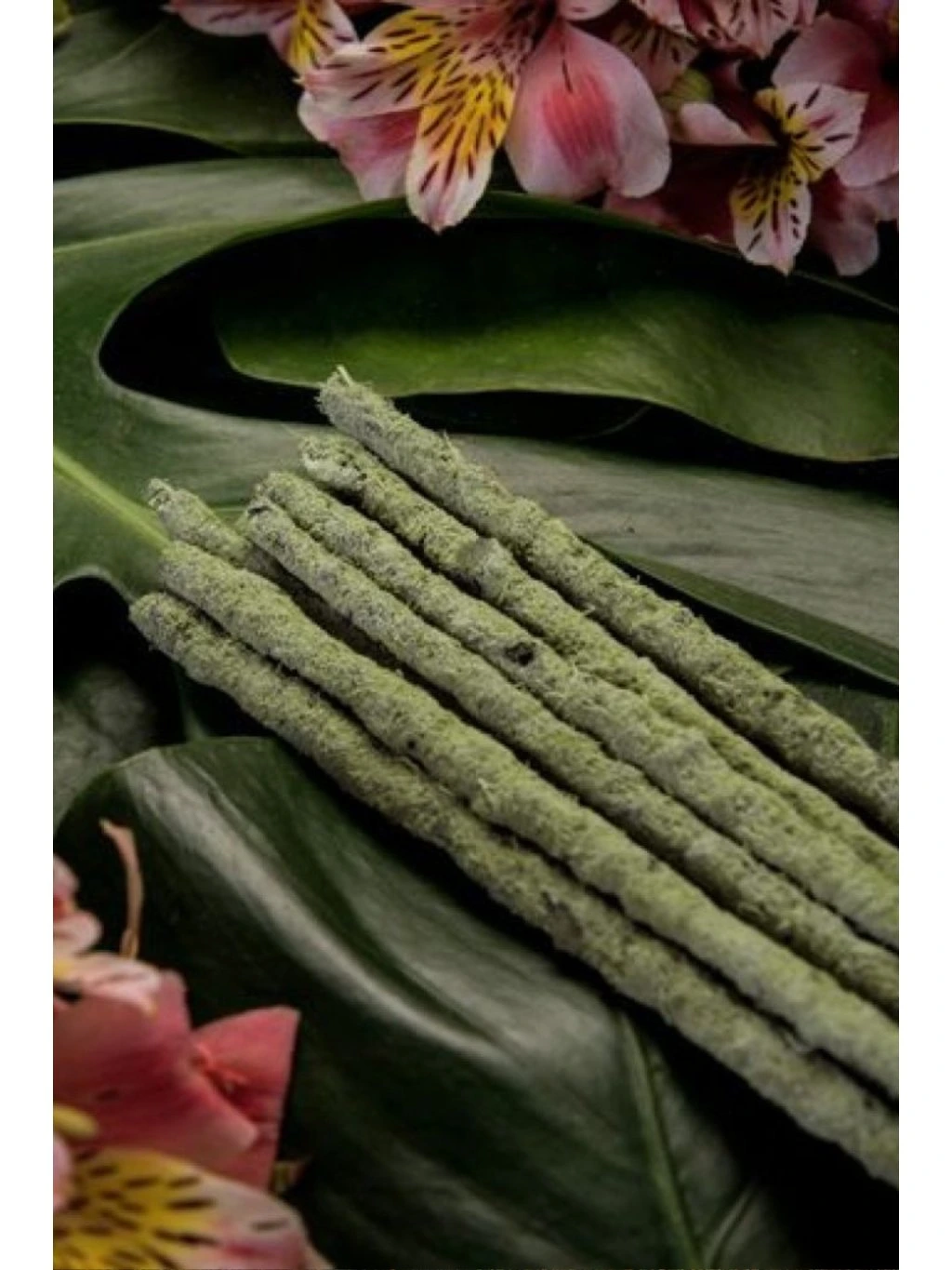 Vonne tycinky Sagrada Madre BOTANICO - Zeleny caj a Champa