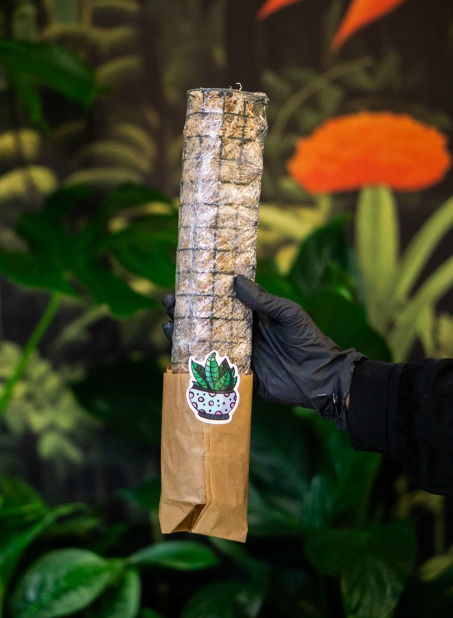 Raselinnikova oporna tyc (handmade)