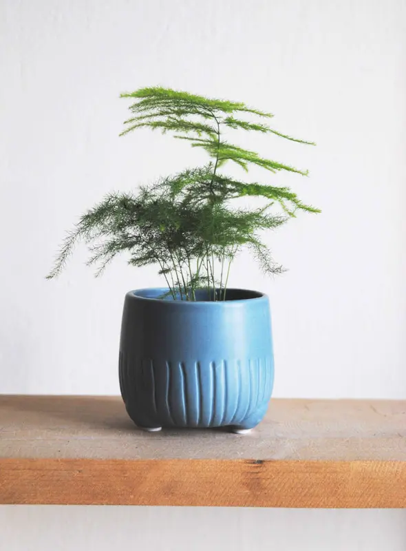 Keramicky kvetinac Tucko modry