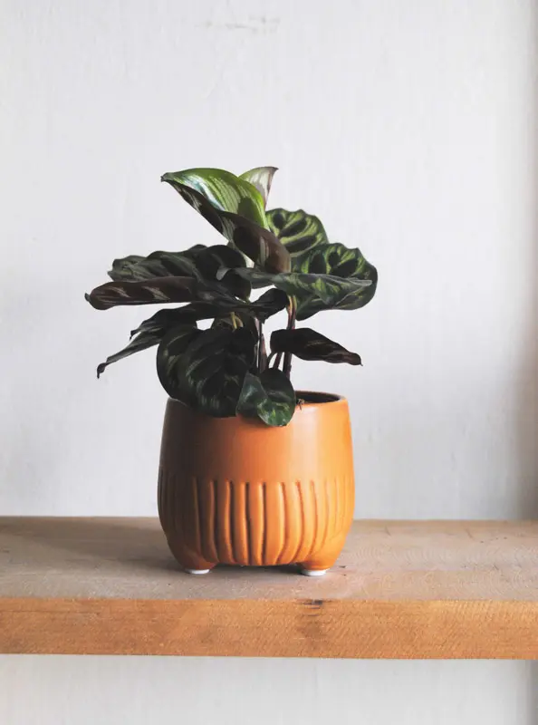 Keramicky kvetinac Tucko tehlovy