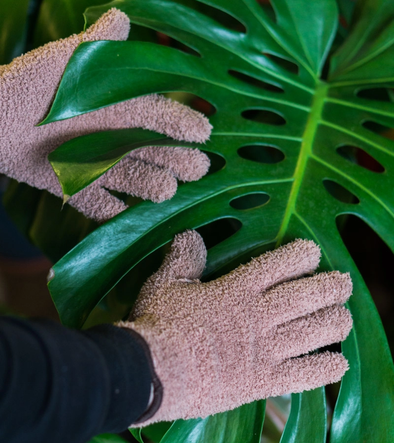 Rukavica na cistenie listov