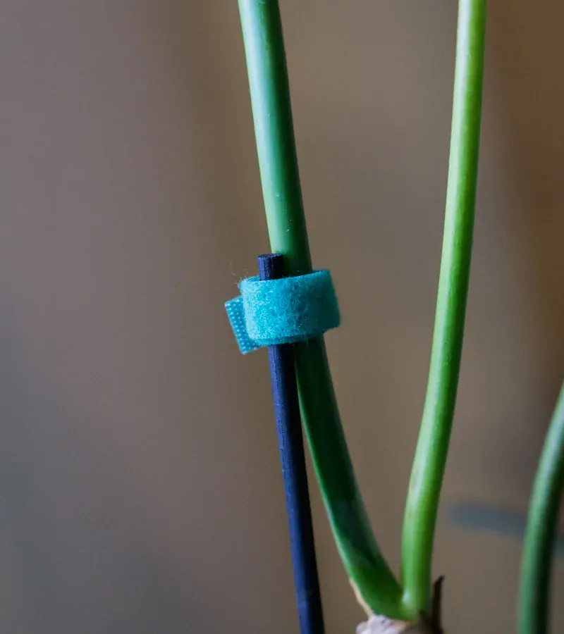 Reusable floristicka paska so suchym zipsom