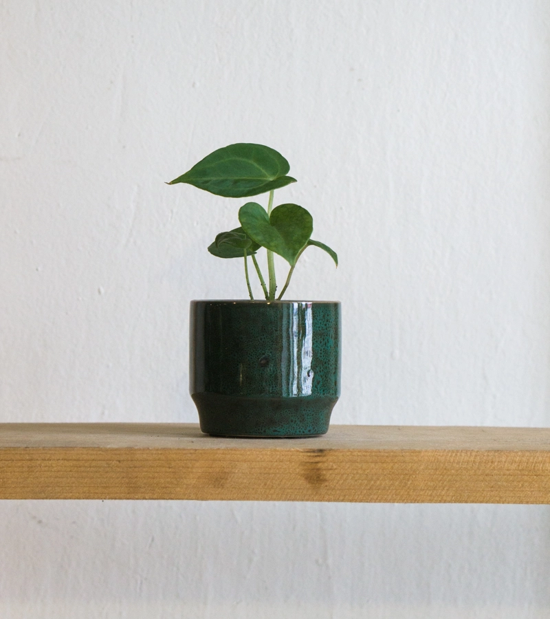 Keramicky kvetinac Taman