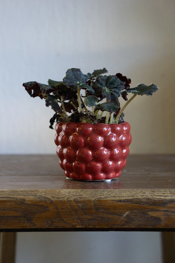 Keramicky kvetinac "Bobulka"