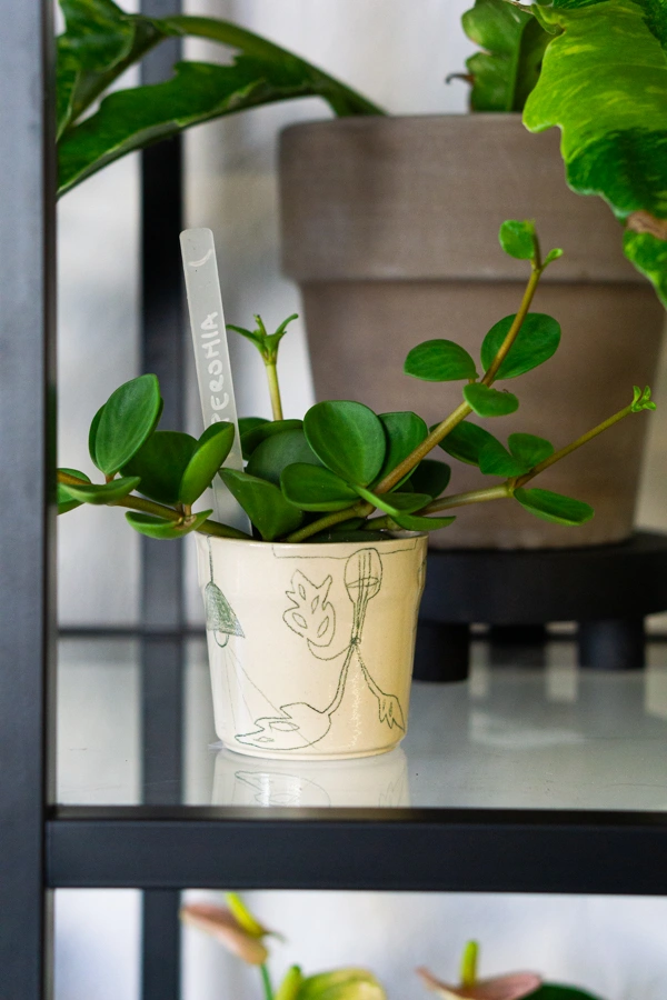 Keramicky kvetinac Atelier Javorski PLANT (nahodny kus)