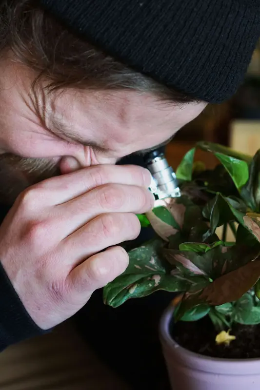 Vreckovy LED mikroskop Neptune 45x