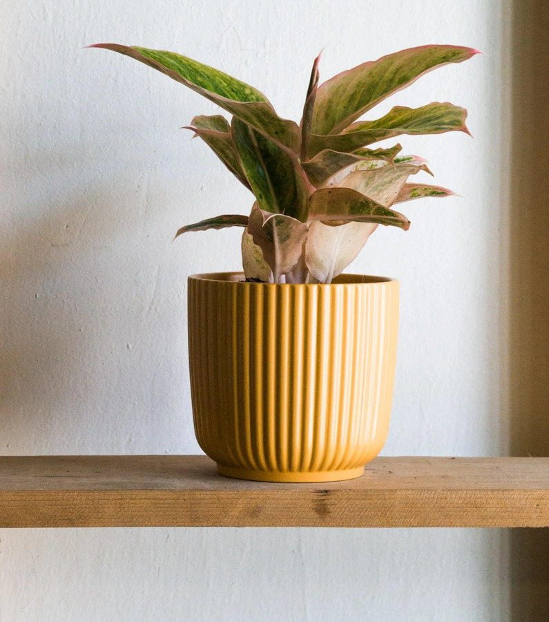 Keramicky kvetinac Waikiki